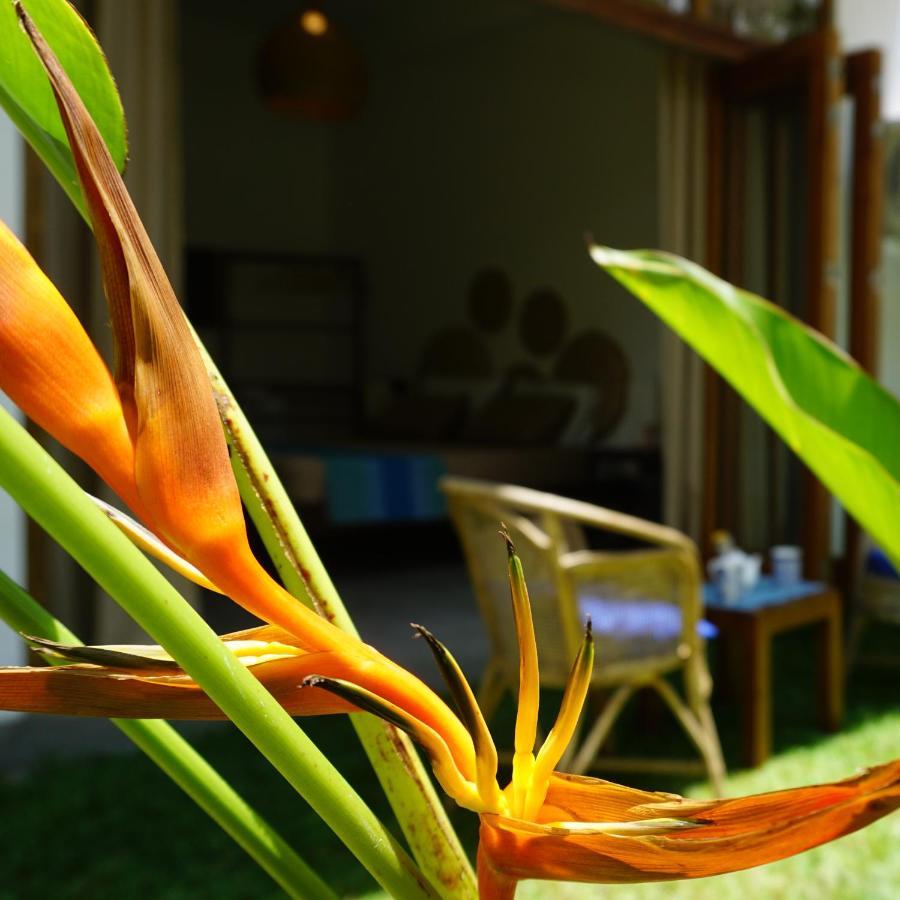 Parasol Dore Dikwella Ngoại thất bức ảnh